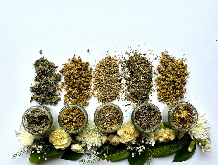 <h2>The Restorative Collection</h2>